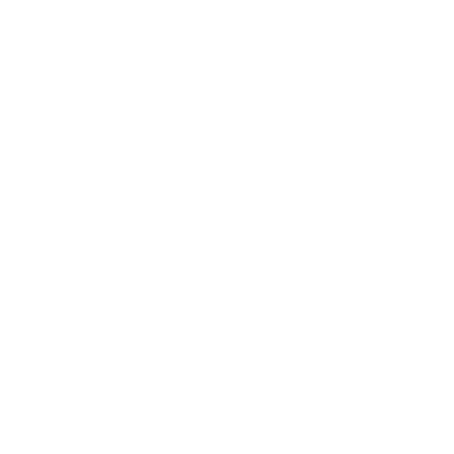 14 The Little Buuerfly Foundation