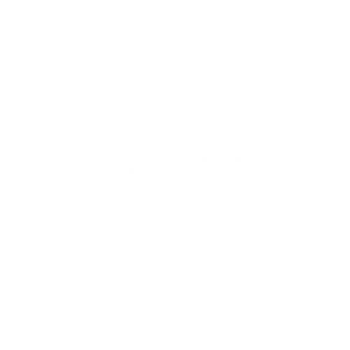 2 Aris Global