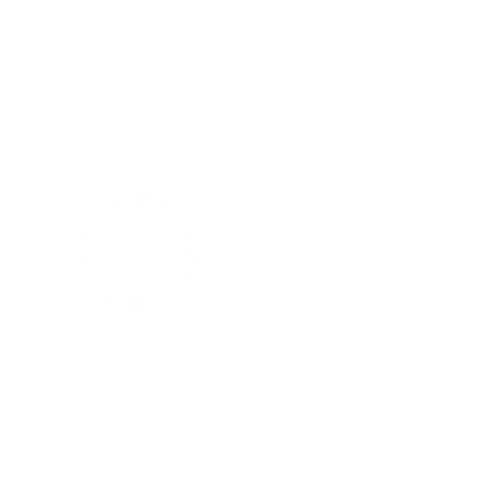 4 Bertha Foundation