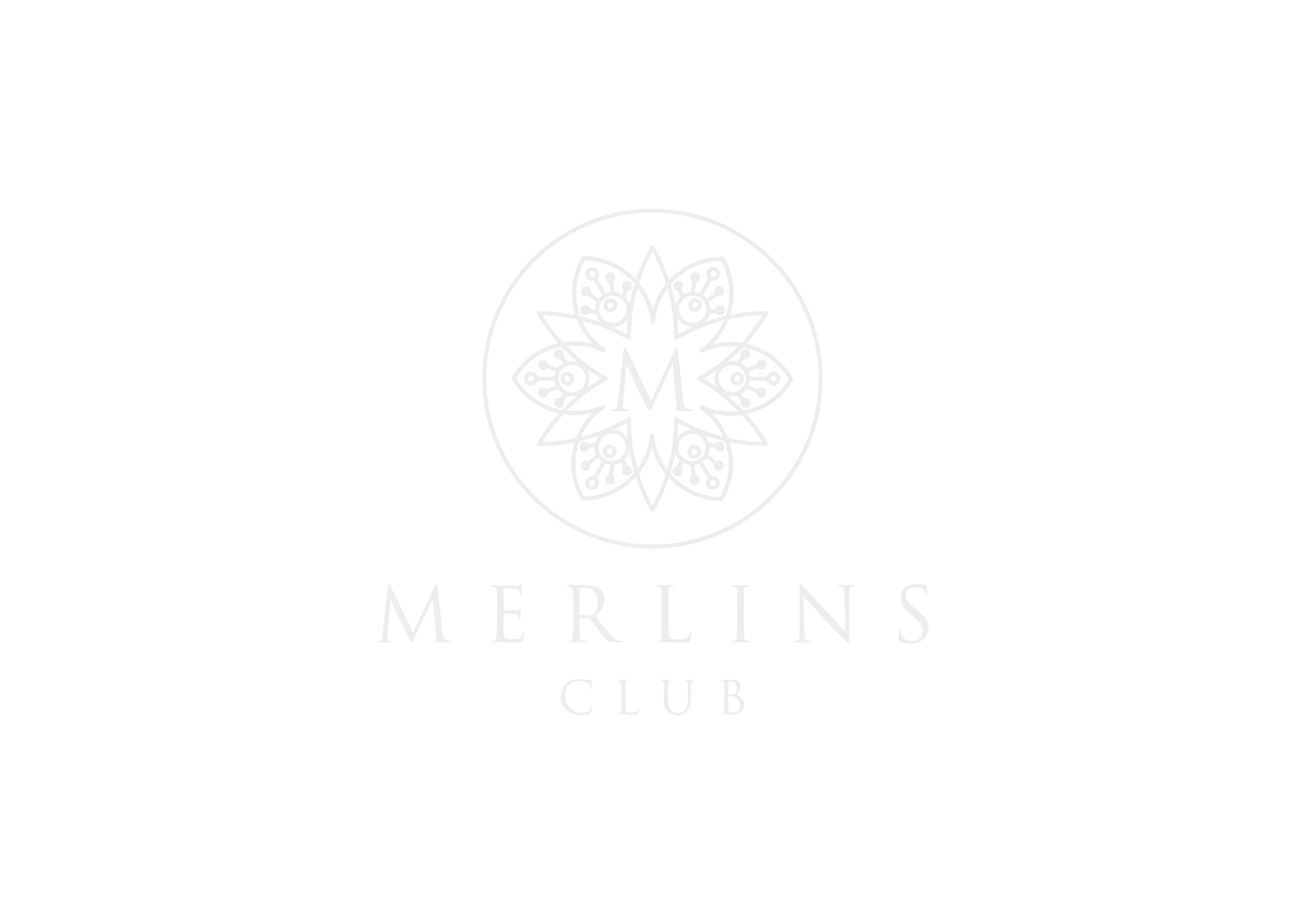 In Kind Auction Sponsors Merlins Club