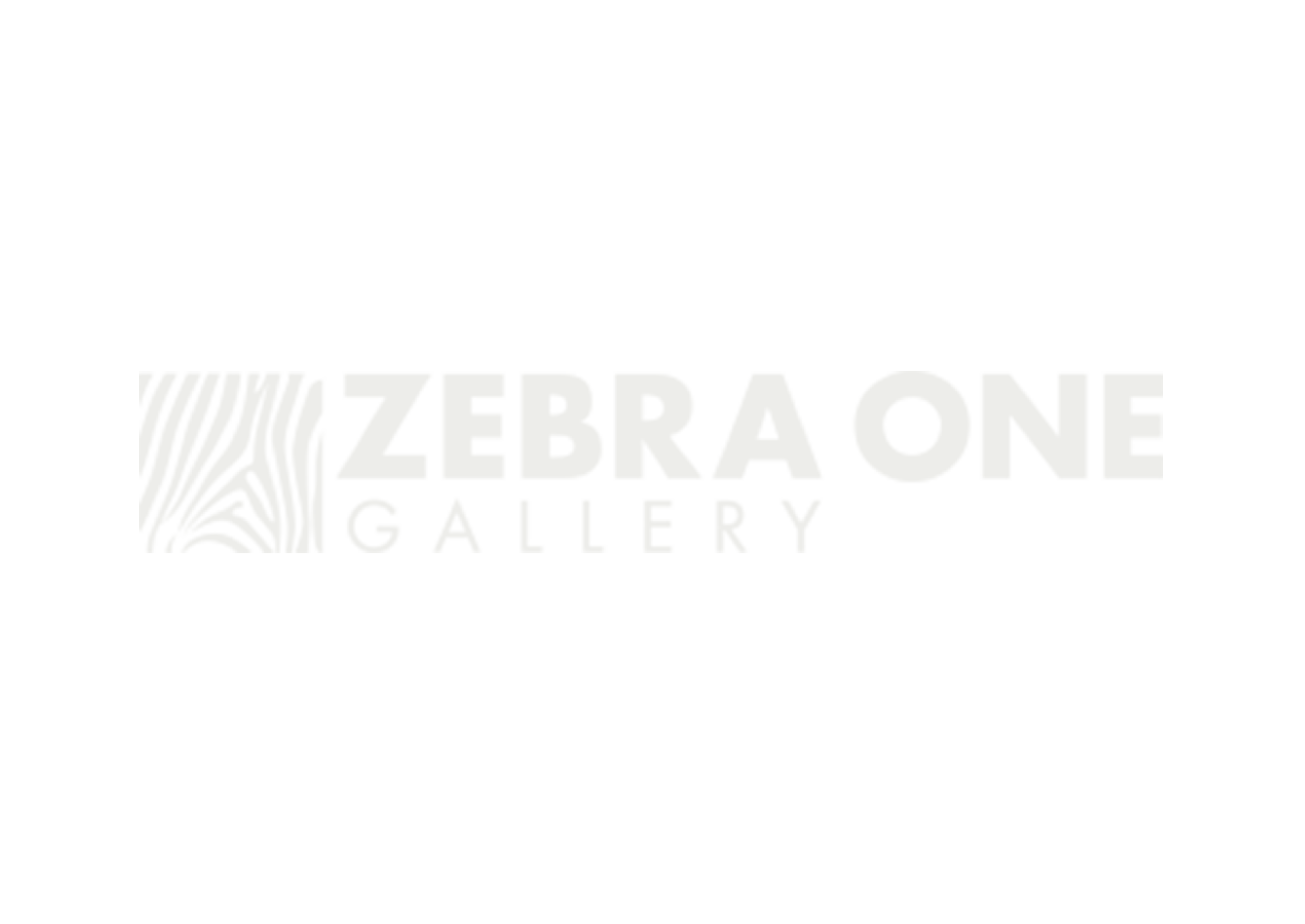 In Kind Auction Sponsors Zebra One