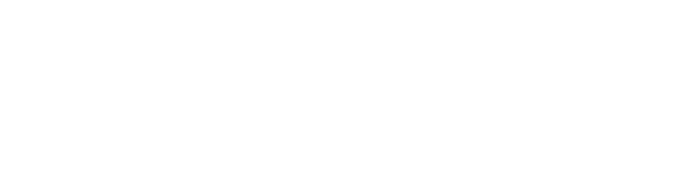 Investec Logo White